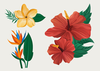 Exotic or tropical flowers set . Botanical illustration. Vector illustration