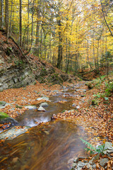Beautiful leaf fall on mountain river at autumn. Carpathians. Ukraine.