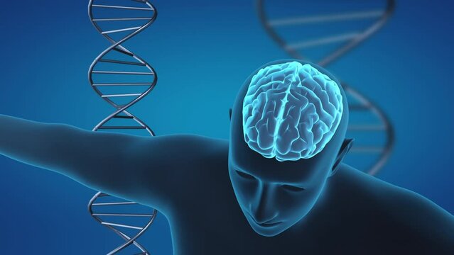 3d medical background with human brain and dna