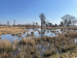 Empesche en Tondensche heide