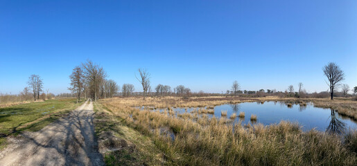 Panorama from the Empesche en Tondensche heide