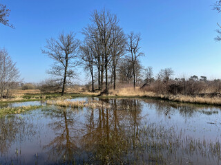 Empesche en Tondensche heide
