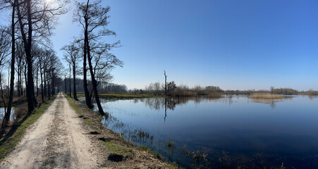 Panorama from the Empesche en Tondensche heide