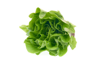 Fresh lettuce isolated on white background.
