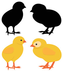 chickens silhouette, isolated on white background vector