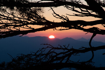 atardecer