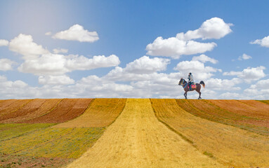 The only rider on the farm