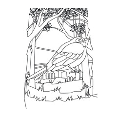 Bird Coloring Pages for Kids