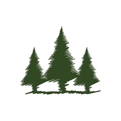 christmas tree isolated