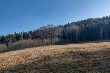 Hochsitz auf Wiese vor Wald im Frühjahr