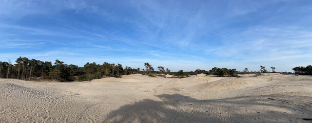 Panorama from the sand dunes in Beerze