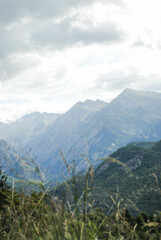 Beautiful view of mountain valley landscape with clear skies and plants in the foreground