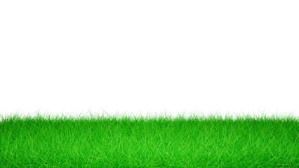 3D Green Grass Isolated on White Background, Green Grass Border, Green Grass Field on White Background