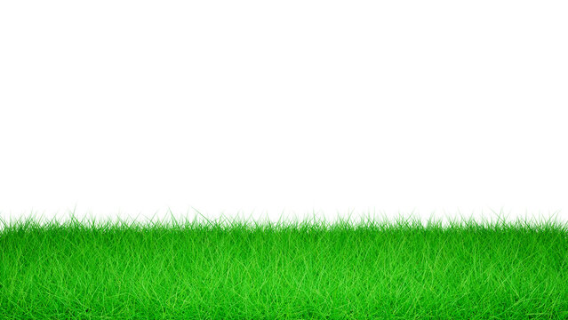 3D Green Grass Isolated on White Background, Green Grass Border, Green Grass Field on White Background