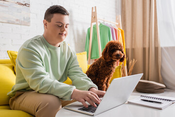 Poodle sitting on couch near teenager with down syndrome using laptop at home.