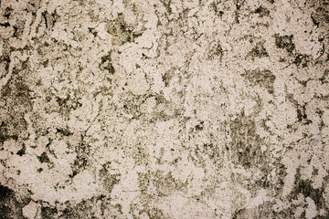 concrete black and white wall background