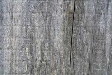 Old and cracked wood background or texture