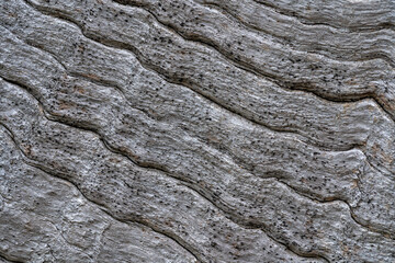 Old and cracked wood background or texture