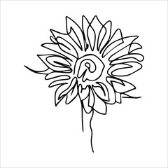 Sunflower vector illustration. Flower in one line. Flower coloring book. Outline drawing of a sunflower flower.