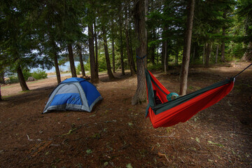 Hammock and tent in pacific northwest