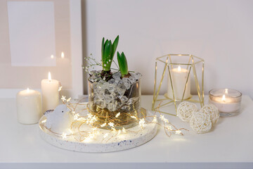 Two unopened hyacinths in a glass vase with artificial ice. Interior view in modern scandinavian style with painting canvas or poster on the wall. Living room, chest of drawers with vases.