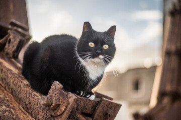 il guardiano del faro