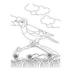 Bird Coloring Pages for Kids. Bird Coloring Page. Bird Coloring Pages. sketch drawing with doodle