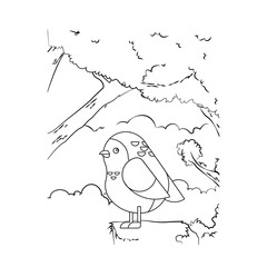 Bird Coloring Pages for Kids. Bird Coloring Page. Bird Coloring Pages. sketch drawing with doodle