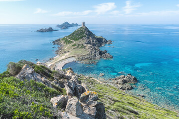 Fototapeta na wymiar Corsica, Isole Sanguinarie, France