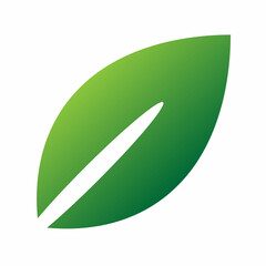 green leaf isolated on white background