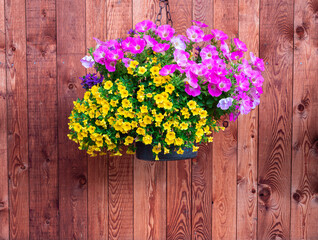 A pot with decorative yellow and pink flowers on a wooden wall in Engadine, Switzerland