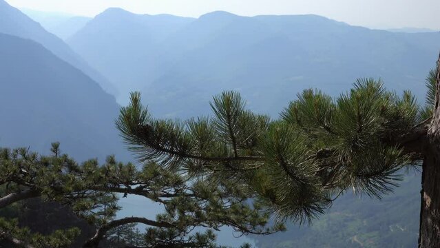 View from famous Banjska stena on Drina river in Tara National Park, Serbia, 4k