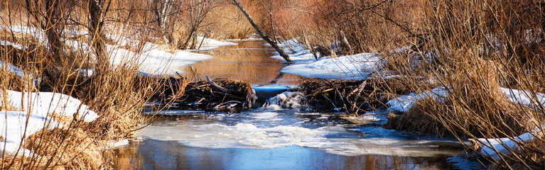 In the spring, ice melted on the river in the grove.