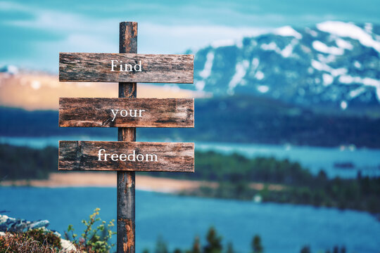find your freedom text quote written on wooden signpost outdoors in nature with lake and mountain scenery in the background. Moody feeling.