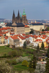 Obraz premium Spring Prague City with gothic Castle and the colorful Nature with flowering Trees from the Hill Petrin, Czech Republic