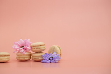 Round beautiful sweets macaroni with flowers on a pink background. Still life with macaroni cakes and different flower. Copy space. Banner