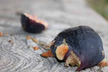 higuera, higos morados