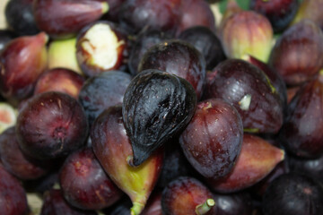 higuera, higos morados