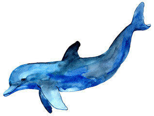 Watercolor hand drawn illustration of dolphin in blue color. Ocean animal background. Sea Animal in cartoon style. Design for covers, backgrounds, decorations, stickers, labels.