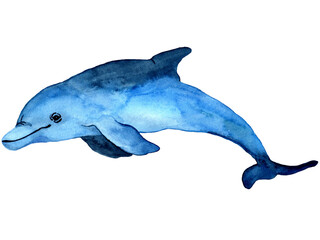 Watercolor hand drawn illustration of dolphin in blue color. Ocean animal background. Sea Animal in cartoon style. Design for covers, backgrounds, decorations, stickers, labels.