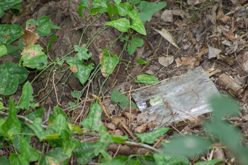 Plástico tirado en el bosque