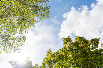 Vegetación y nubes