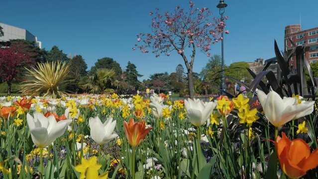 Bournemouth Parks - Lower Gardens