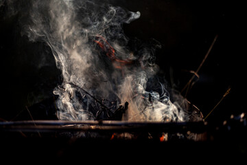 Bonfire in nature. Dry branches are burning. Burning firewood. Flames from coals.
