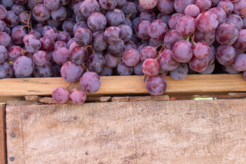 uvas, frutas, morado, nutritivo, saludable, viñero.
