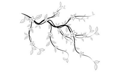 Luxury floral elegant abstract background