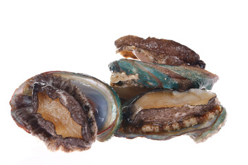 Abalone shellfish on a white background