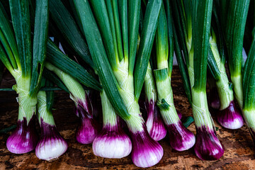 purple and white freshly harvest sweet spring onions with green stems - 499200694