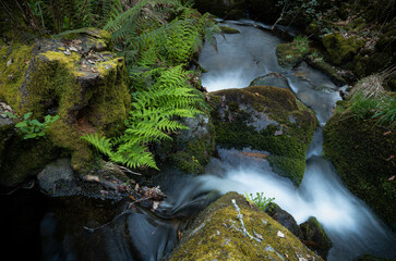 Fervenza do Río Barbantiño. Maside, Ourense