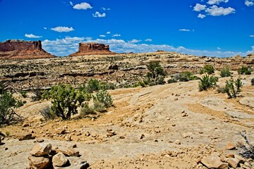 Canyonlands National Park in southeastern Utah, a dramatic desert landscape carved by the Colorado...